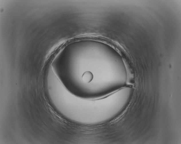 X0000083661406200703051740