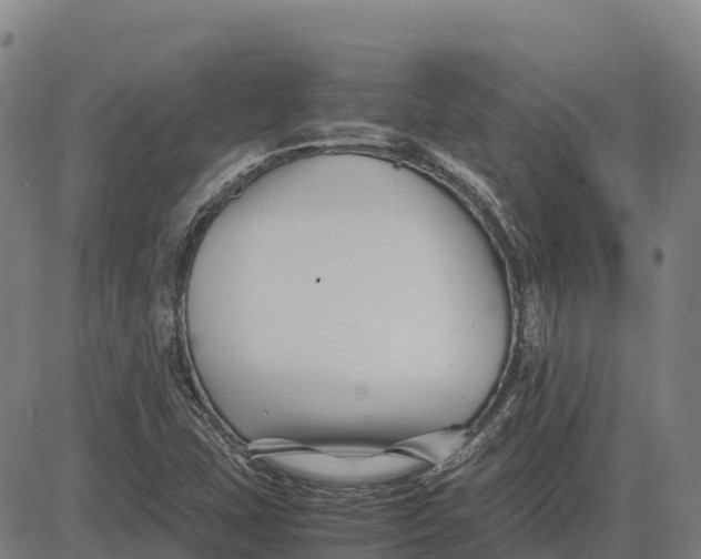 X0000083661407200703051740