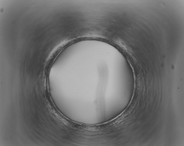 X0000083661408200703051740