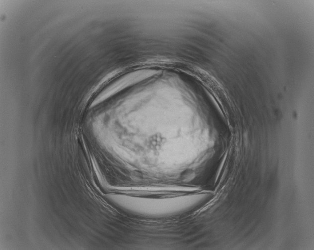 X0000083661409200703051740