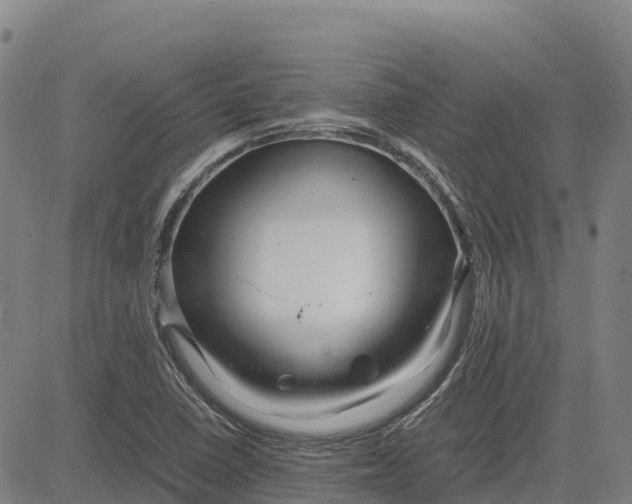 X0000083661410200703051740