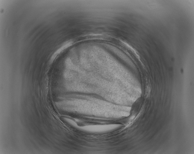 X0000083661411200703051740