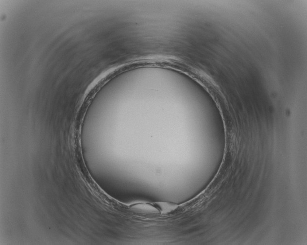 X0000083661412200703051740