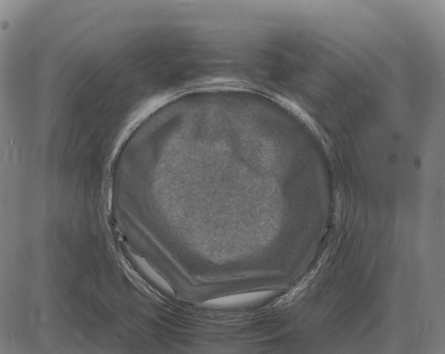 X0000083661413200703051740