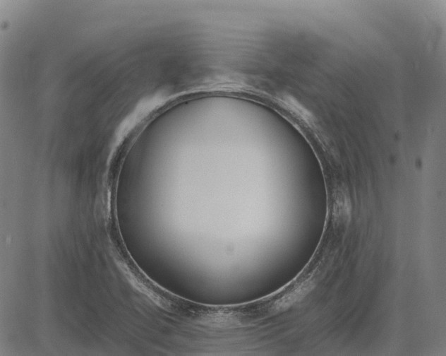 X0000083661414200703051740