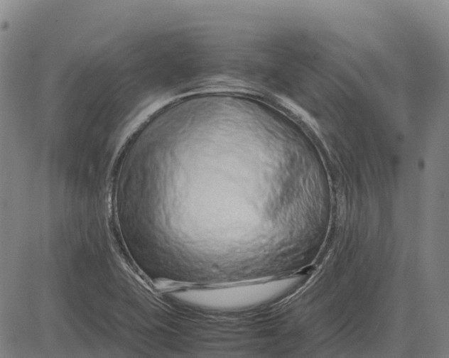 X0000083661415200703051740