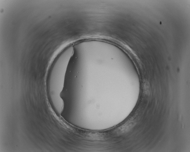 X0000083661416200703051740