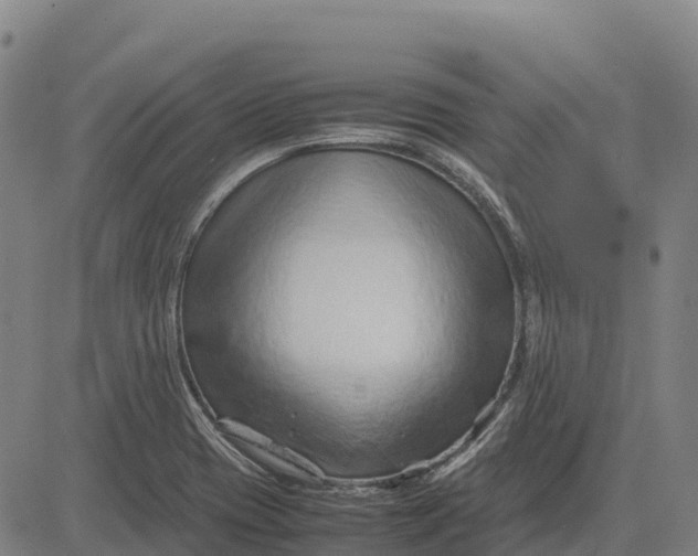 X0000083661417200703051740