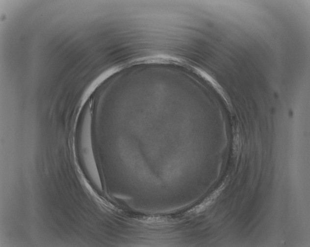 X0000083661418200703051740