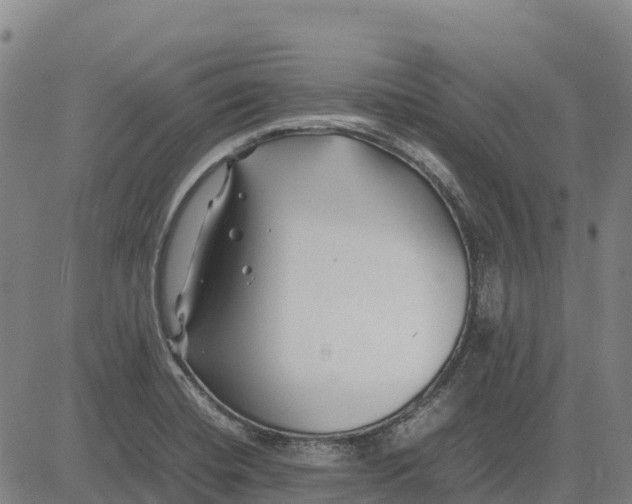 X0000083661420200703051740