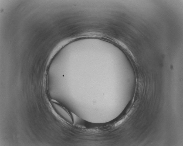 X0000083661421200703051740