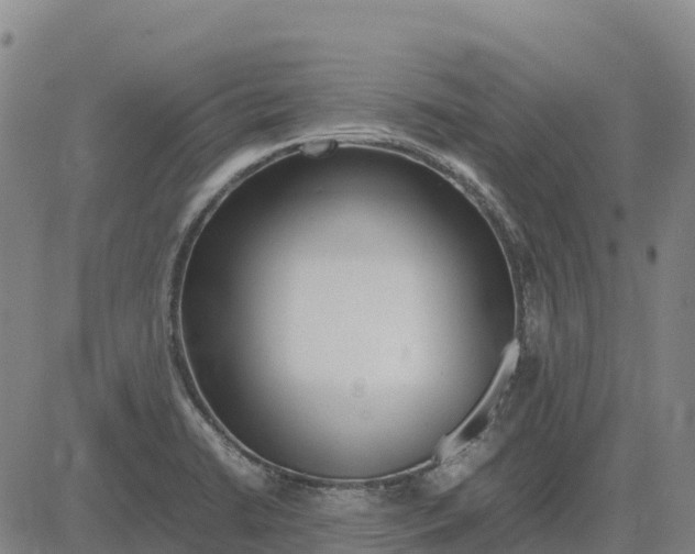 X0000083661422200703051740