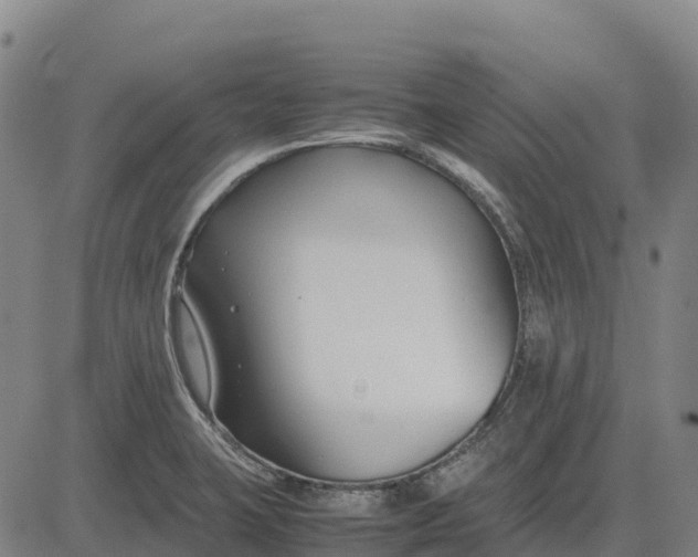 X0000083661423200703051740