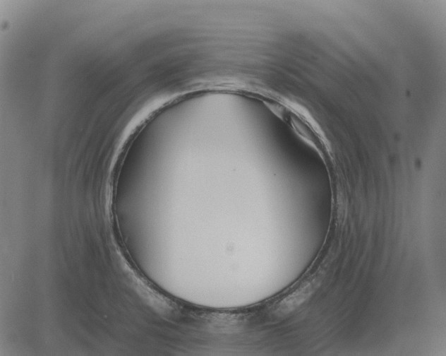 X0000083661424200703051740