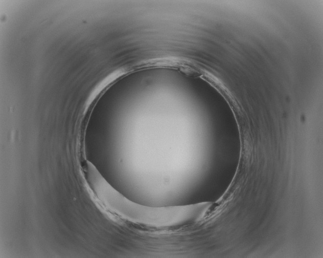 X0000083661426200703051740