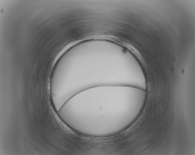 X0000083661428200703051740