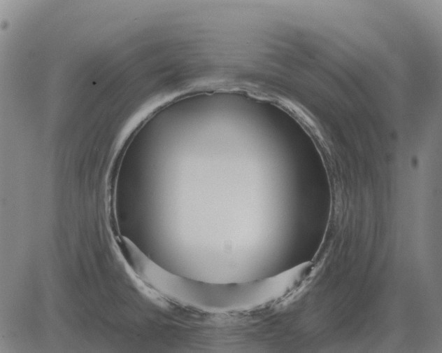 X0000083661430200703051740