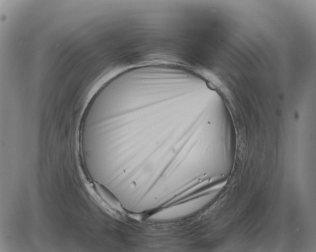 X0000083661431200703051740