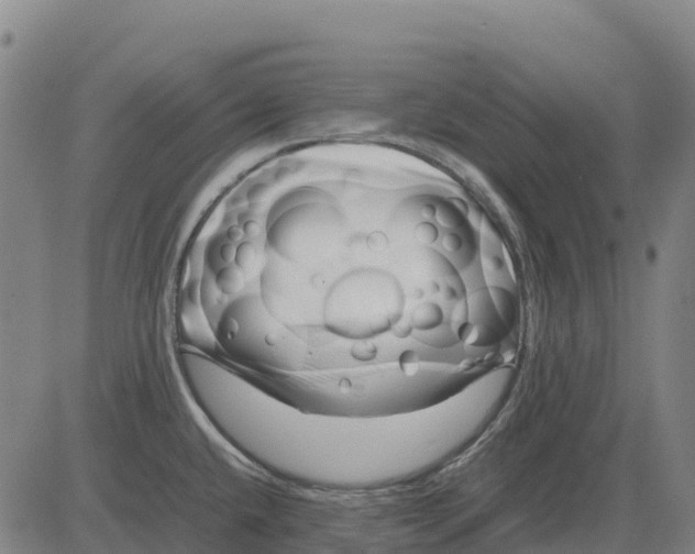 X0000083661432200703051740