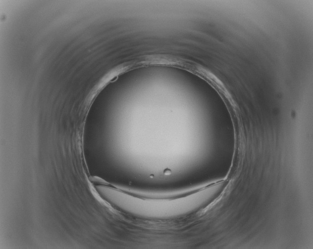 X0000083661433200703051740