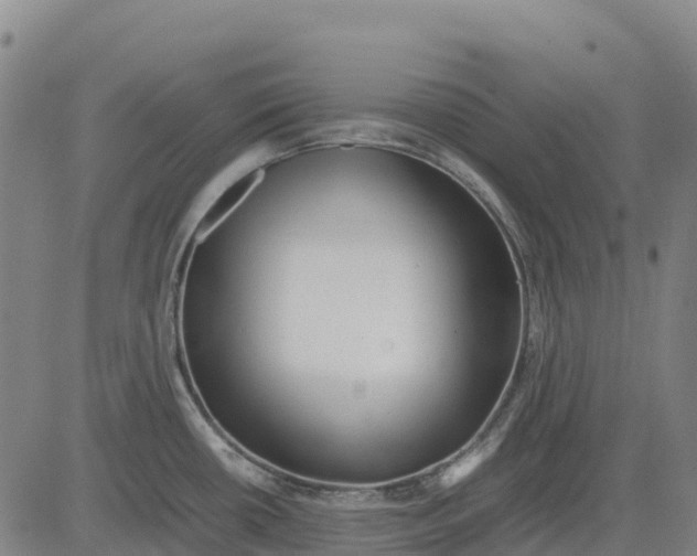 X0000083661434200703051740