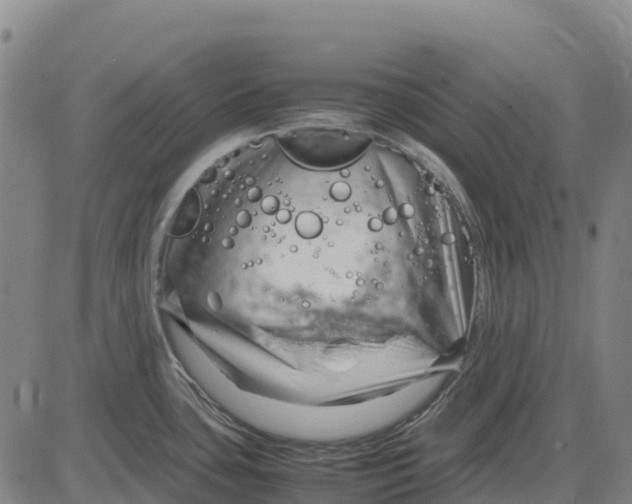 X0000083661435200703051740