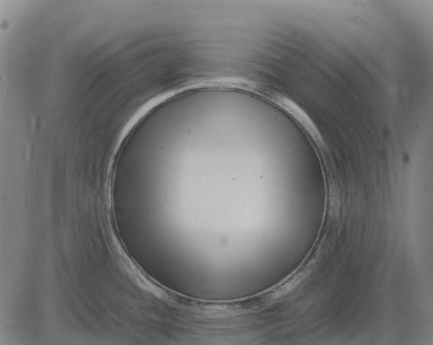 X0000083661436200703051740