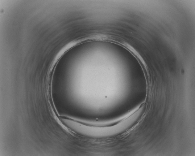 X0000083661437200703051740