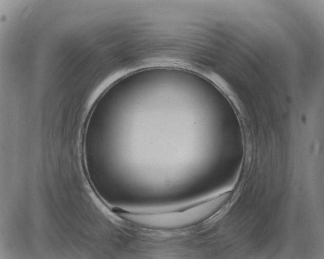 X0000083661438200703051740