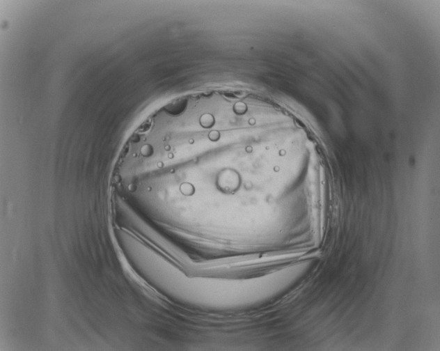 X0000083661439200703051740