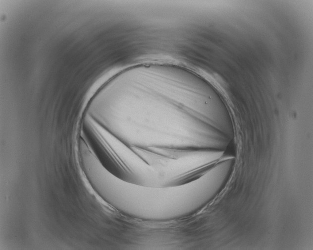 X0000083661440200703051740