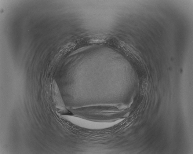 X0000083661441200703051740