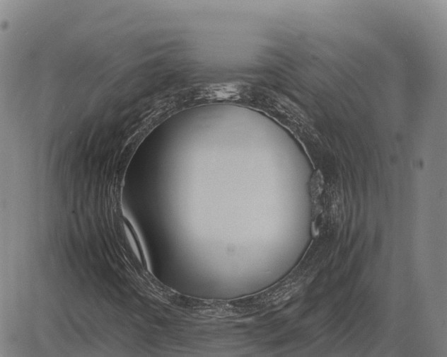 X0000083661442200703051740