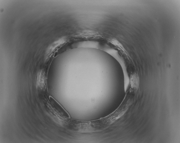 X0000083661444200703051740