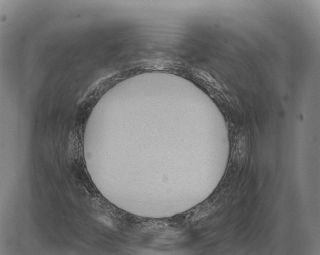 X0000083661446200703051740