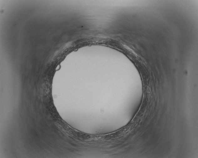 X0000083661447200703051740