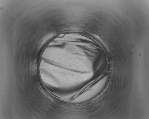 X0000083661450200703051739