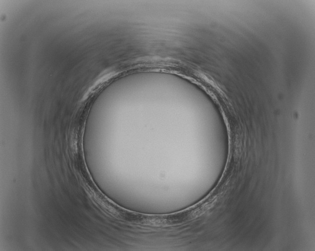 X0000083661451200703051739