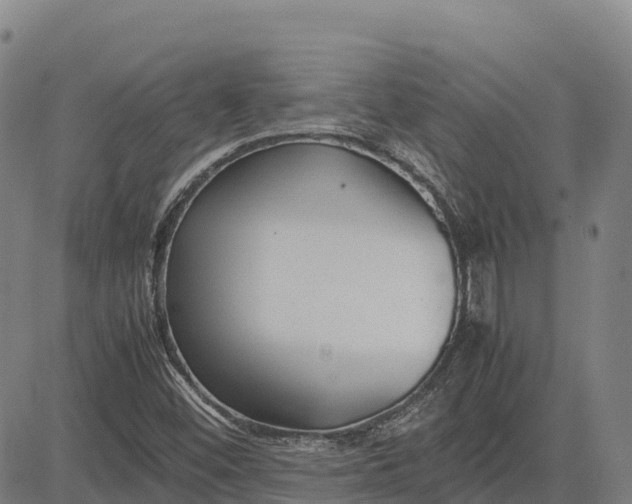 X0000083661452200703051739