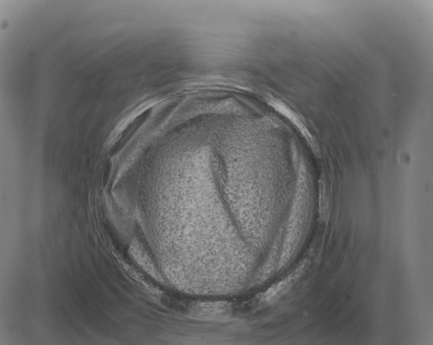 X0000083661453200703051739