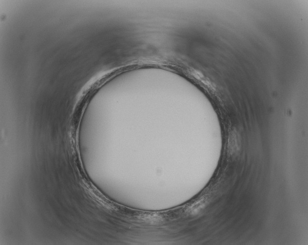 X0000083661454200703051739