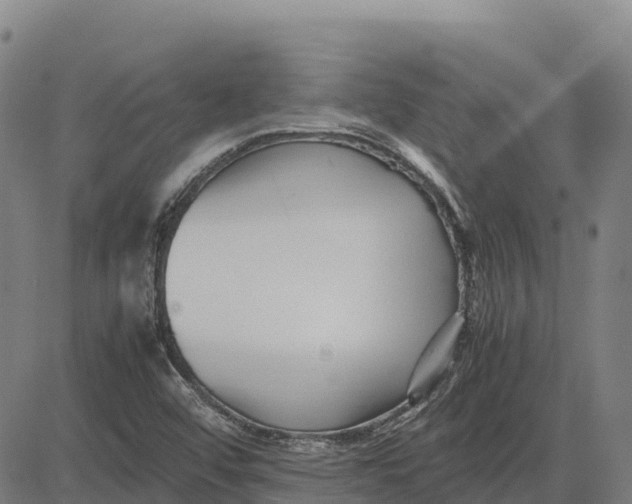 X0000083661456200703051739