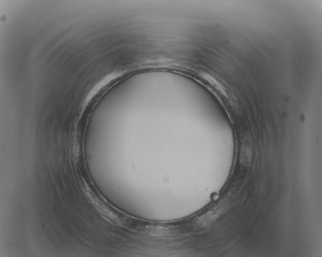 X0000083661458200703051739