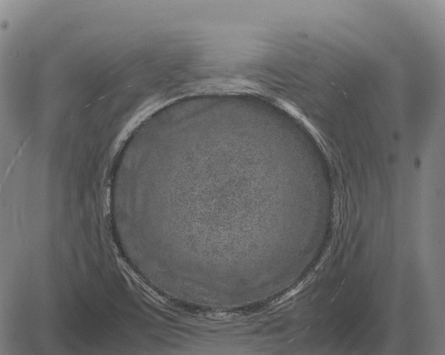 X0000083661459200703051739