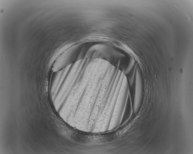 X0000083661461200703051739