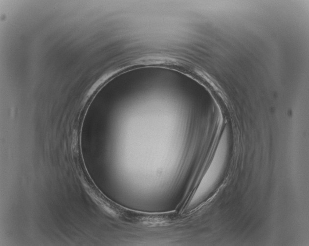 X0000083661465200703051739