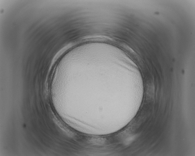 X0000083661466200703051739