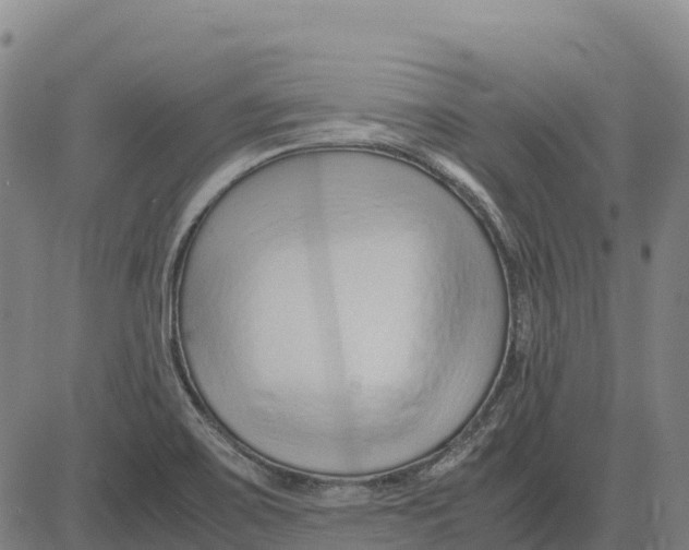 X0000083661467200703051739