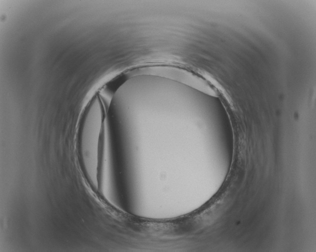 X0000083661469200703051739