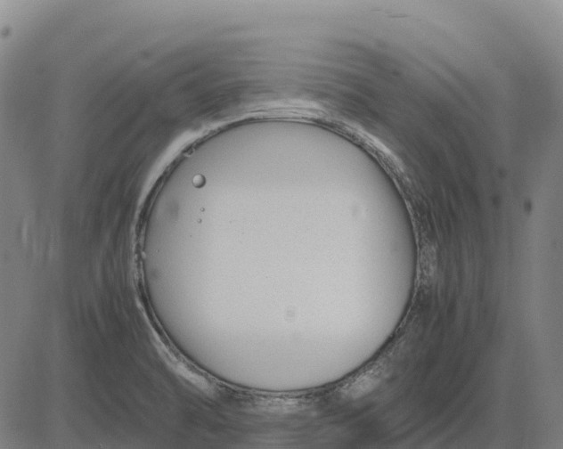 X0000083661470200703051739